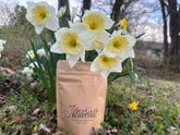 Spring Seasonal Roast 2026