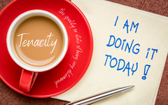 Tenacity (Certified Organic)